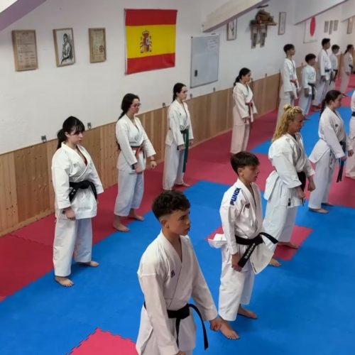 Jose Mateos Karate